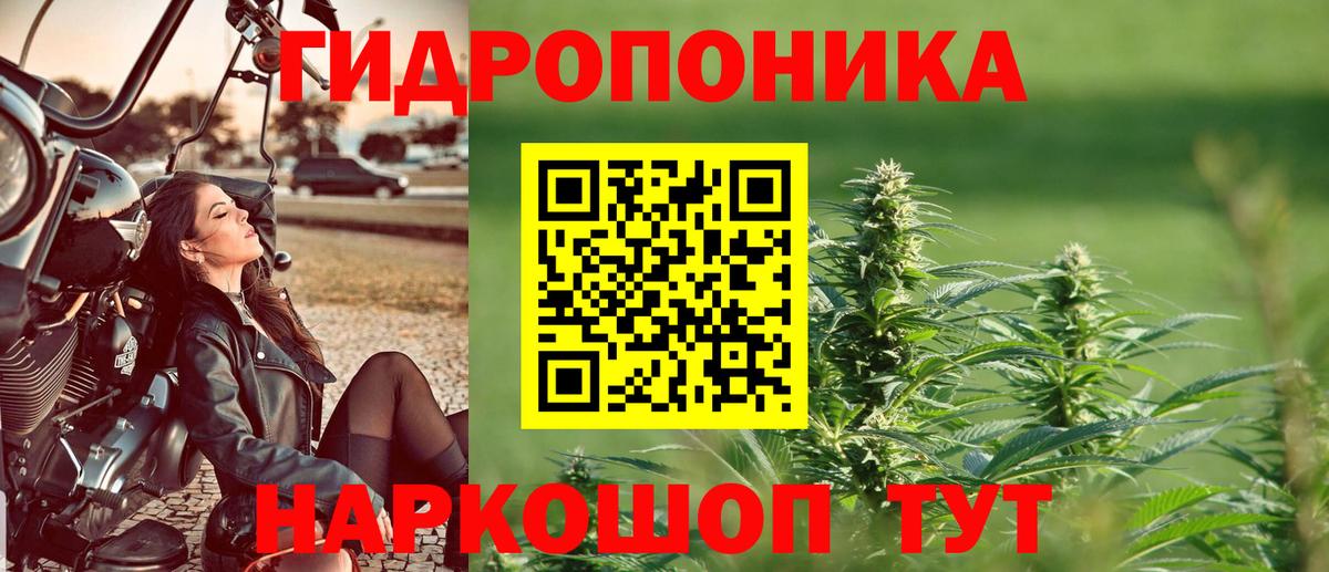 Бутурлиновка  МАРИХУАНА Amnesia  Вход с VPN  МАРИХУАНА VHQ 